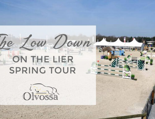 The Low Down on the Lier Spring Tour